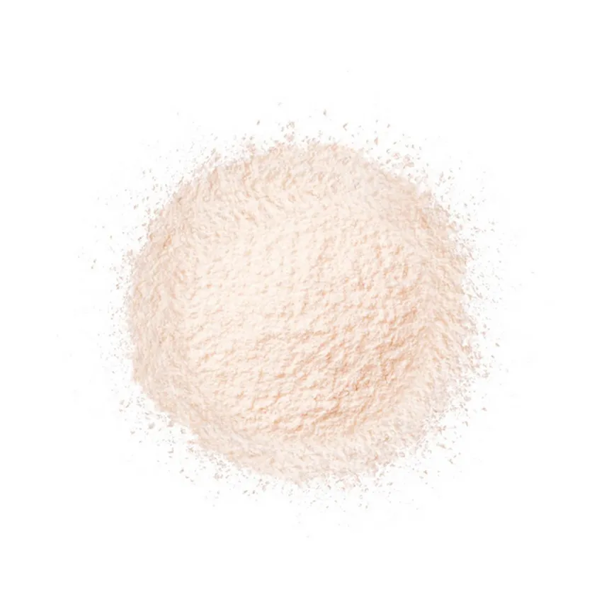 ettusais - Skin Care Powder Loose 10g