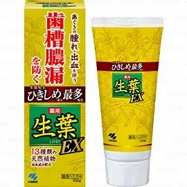 Kiribai - Fresh Leaf EX Toothpaste 100g
