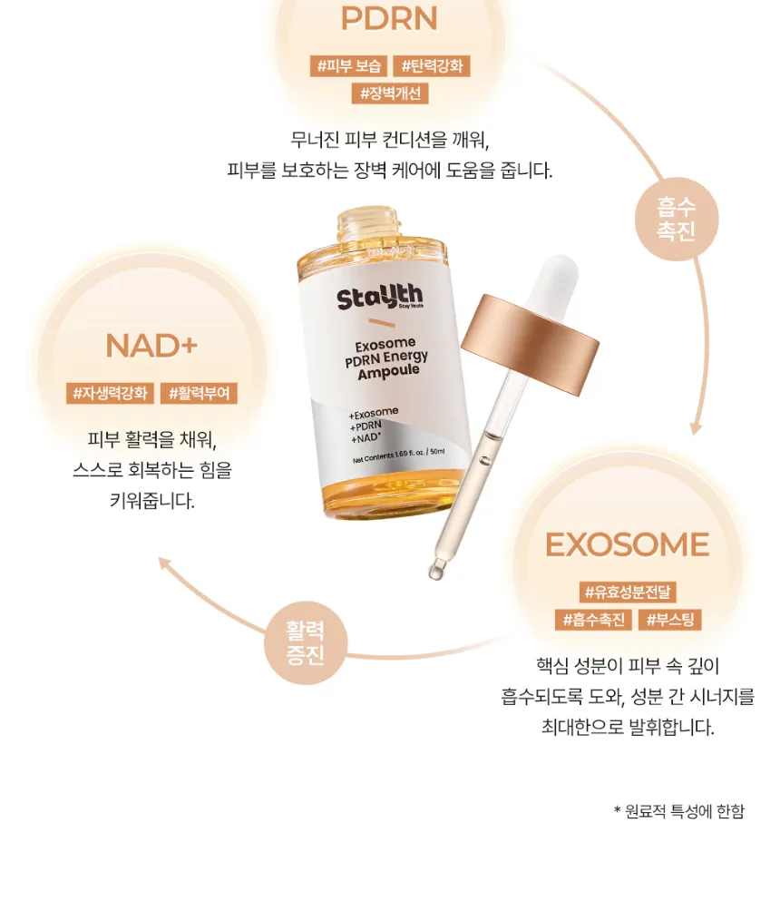 touch in SOL - Stayuth Exosome PDRN Energy Ampoule 50ml