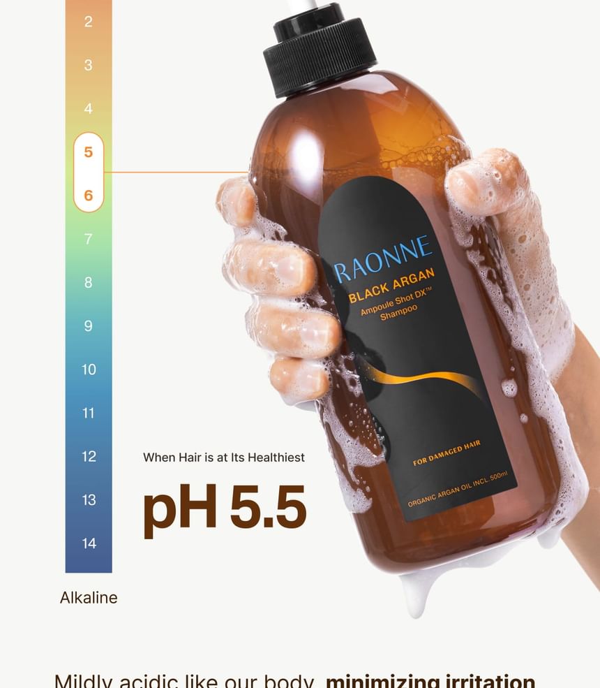 RAONNE - Black Argan Ampoule Shot DX Shampoo 500ml