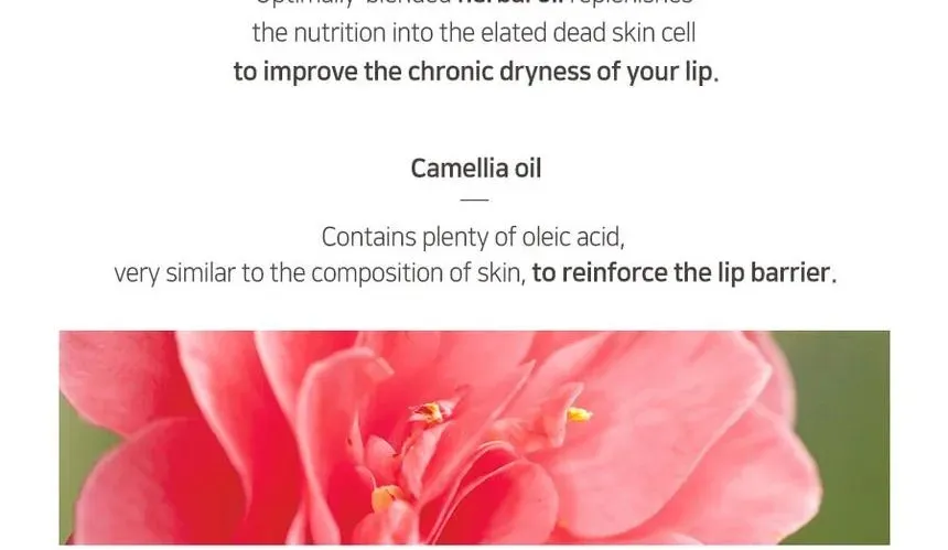 PETITFEE - Oil Blossom Lip Mask (Camelia Seed Oil) 15g