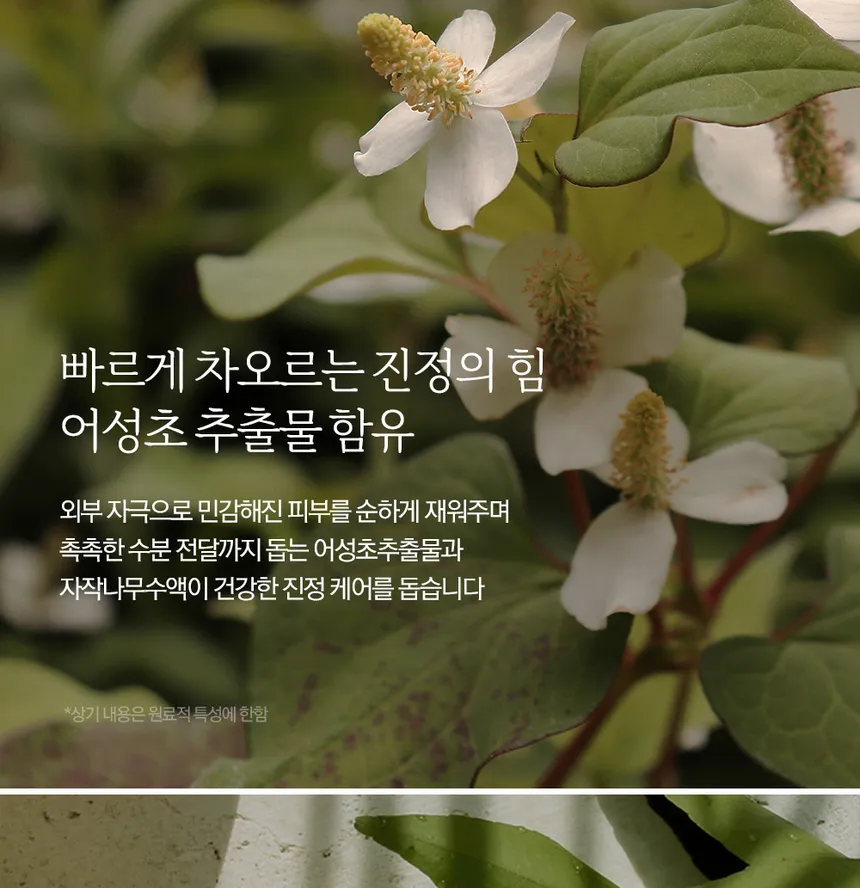 NARD - Heartleaf AHA BHA PHA Peeling Pad `120ml